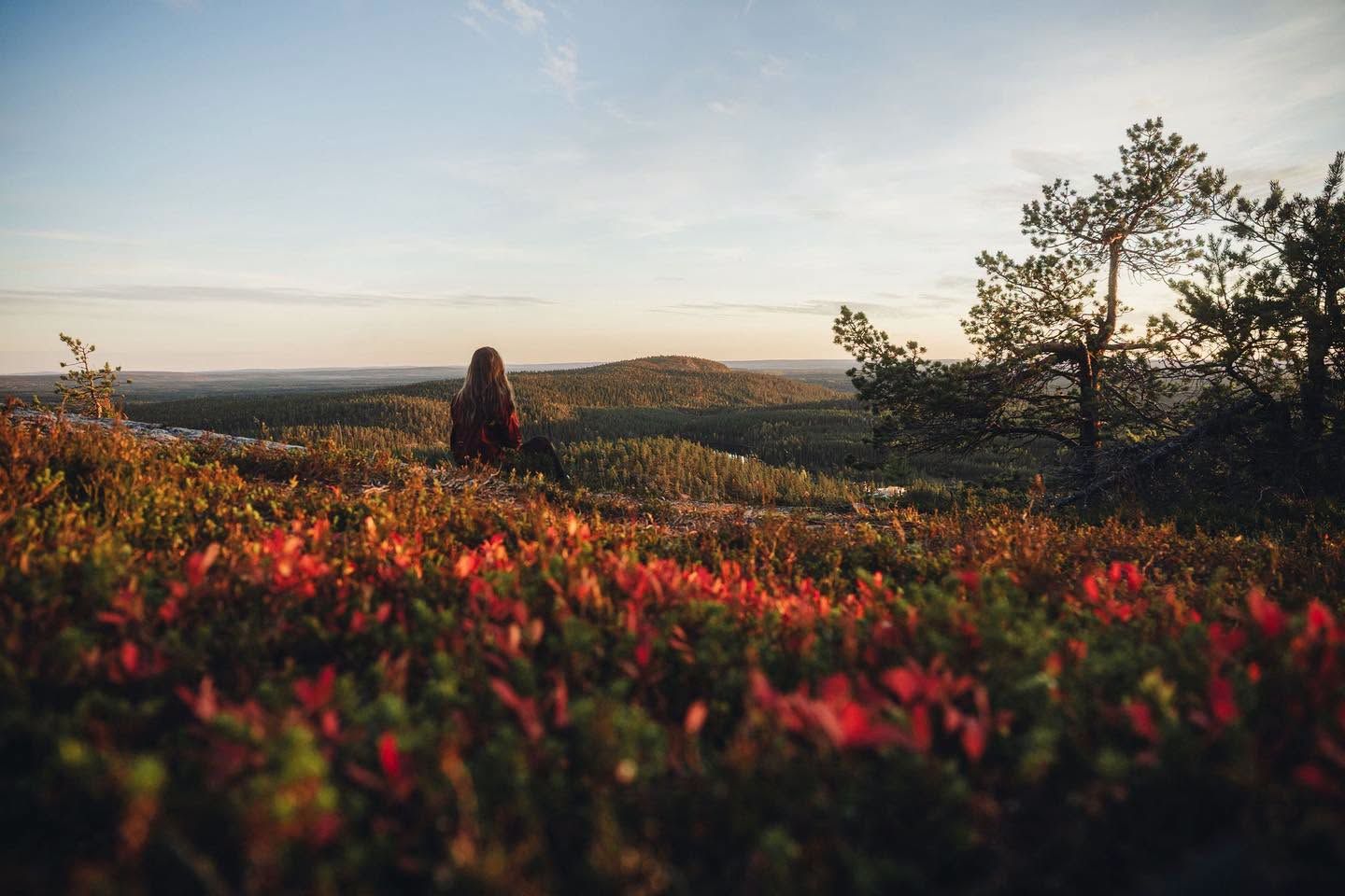 Ihminen istuu ruskan punertamalla tunturin rinteellä ja katsoo metsäisiä vaaroja ilta-auringossa.